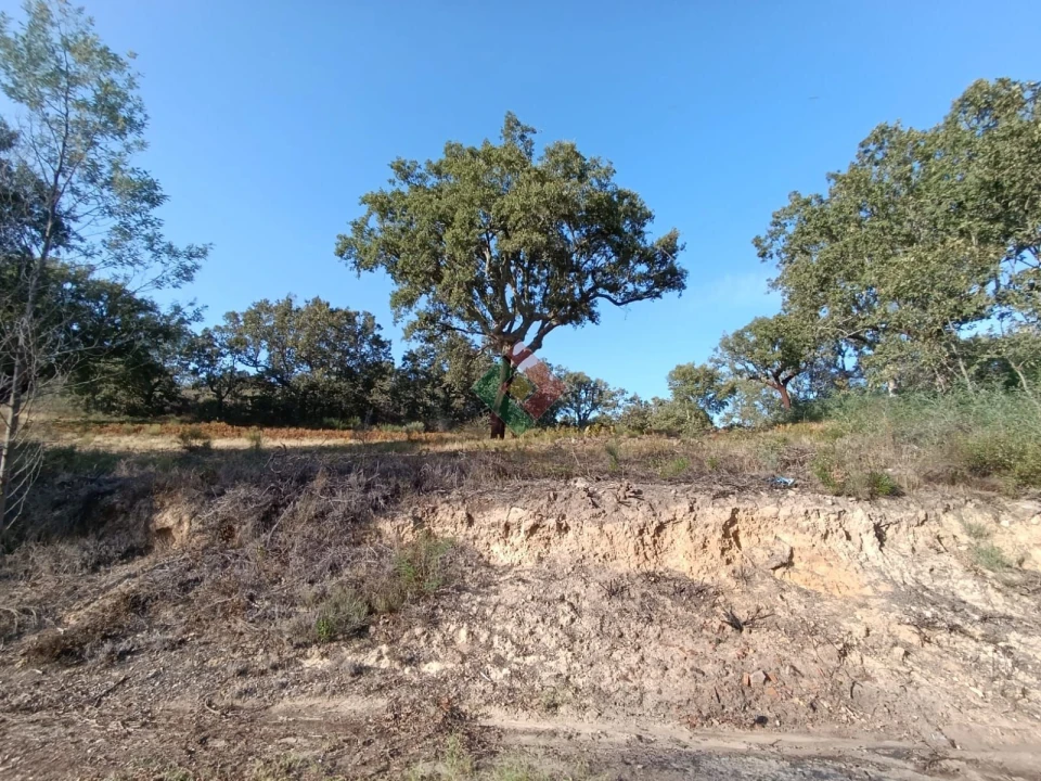 Moradia T0 para Venda em São Salvador da Aramenha Foto 13