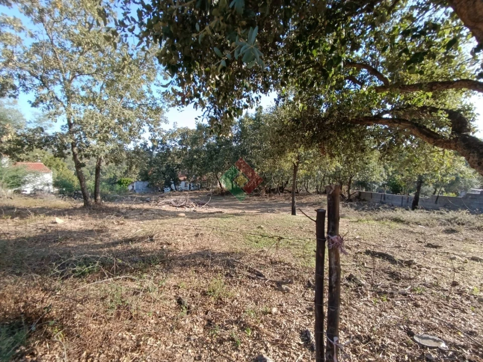 Moradia T0 para Venda em São Salvador da Aramenha Foto 14