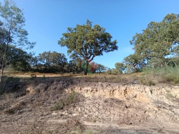 Moradia T0 para Venda em São Salvador da Aramenha