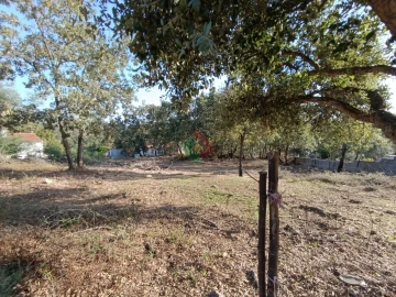 Moradia T0 para Venda em São Salvador da Aramenha