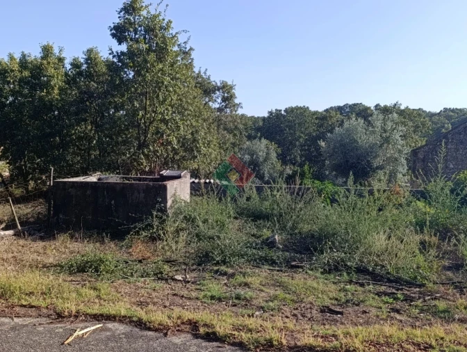Moradia T0 para Venda em São Salvador da Aramenha Foto 6