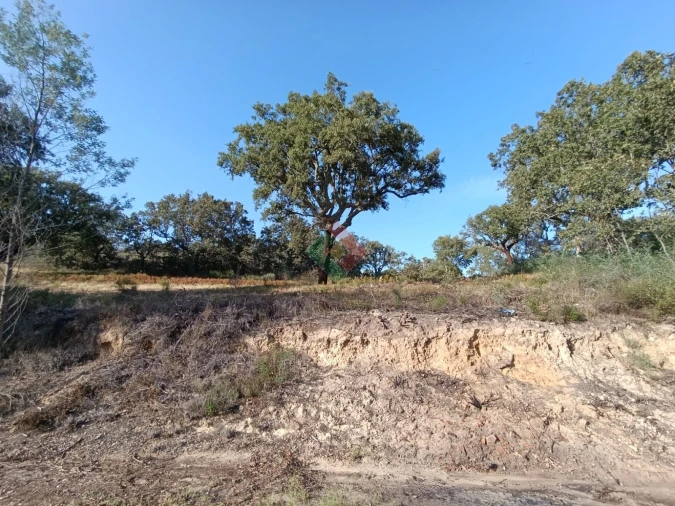 Moradia T0 para Venda em São Salvador da Aramenha Foto 13