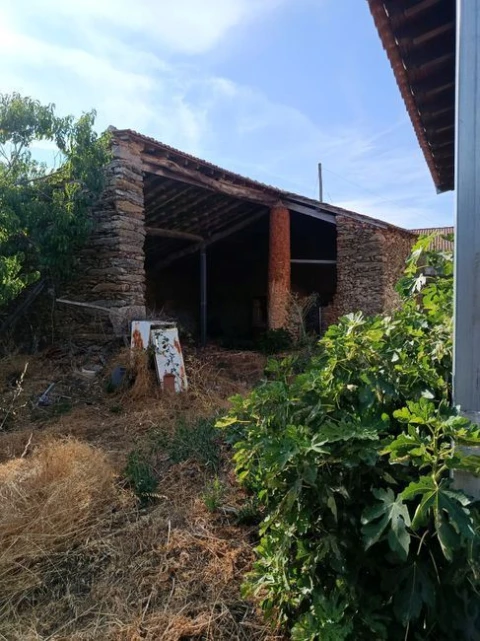 Quinta T4 para Venda em Carrazedo de Montenegro e Curros