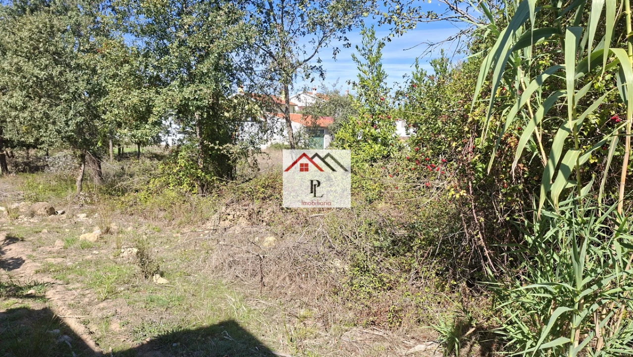 Terreno para Venda em São Martinho de Árvore e Lamarosa Foto 2