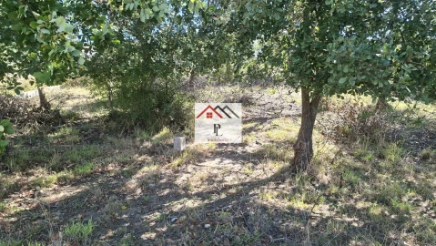 Terreno para Venda em São Martinho de Árvore e Lamarosa