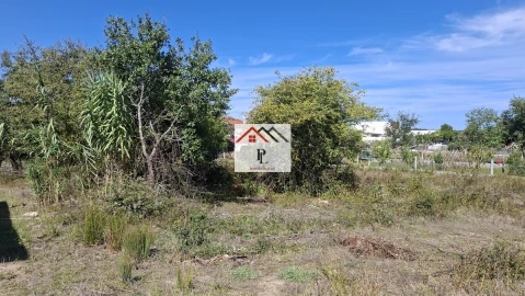 Terreno para Venda em São Martinho de Árvore e Lamarosa
