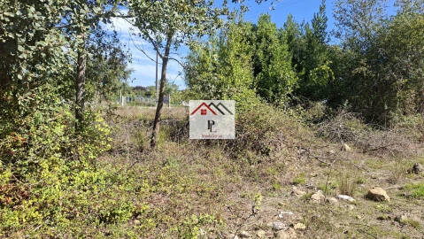 Terreno para Venda em São Martinho de Árvore e Lamarosa