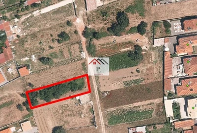 Terreno para Venda em São Martinho de Árvore e Lamarosa