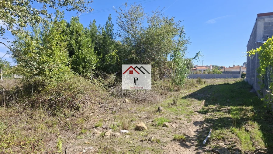 Terreno para Venda em São Martinho de Árvore e Lamarosa Foto 3