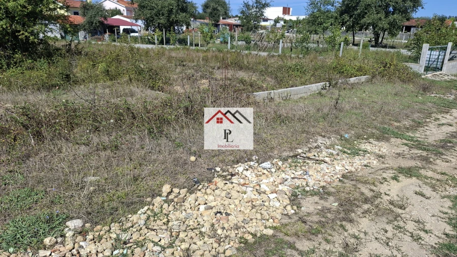 Terreno para Venda em São Martinho de Árvore e Lamarosa Foto 12