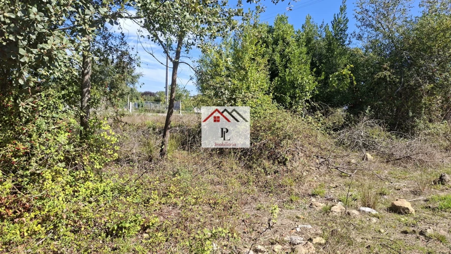 Terreno para Venda em São Martinho de Árvore e Lamarosa Foto 4