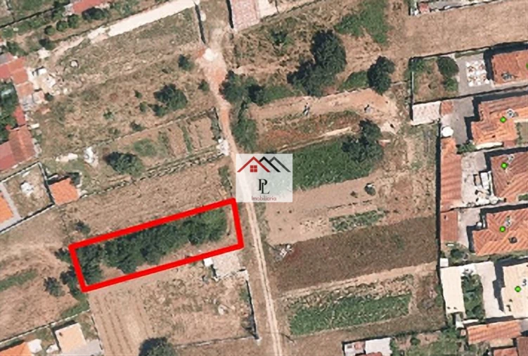 Terreno para Venda em São Martinho de Árvore e Lamarosa Foto 13