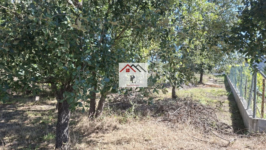 Terreno para Venda em São Martinho de Árvore e Lamarosa Foto 9