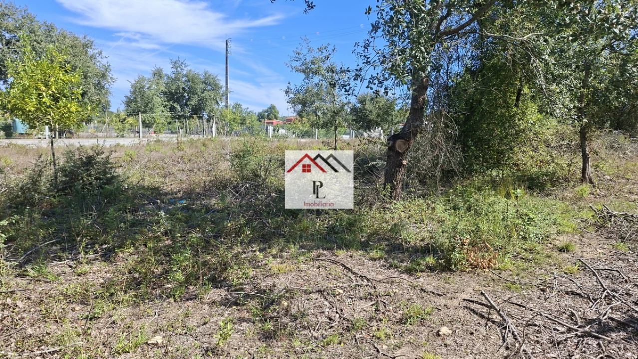 Terreno para Venda em São Martinho de Árvore e Lamarosa Foto 5
