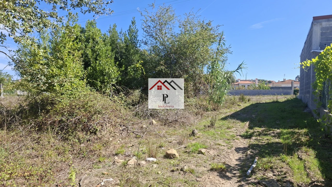 Terreno para Venda em São Martinho de Árvore e Lamarosa Foto 3