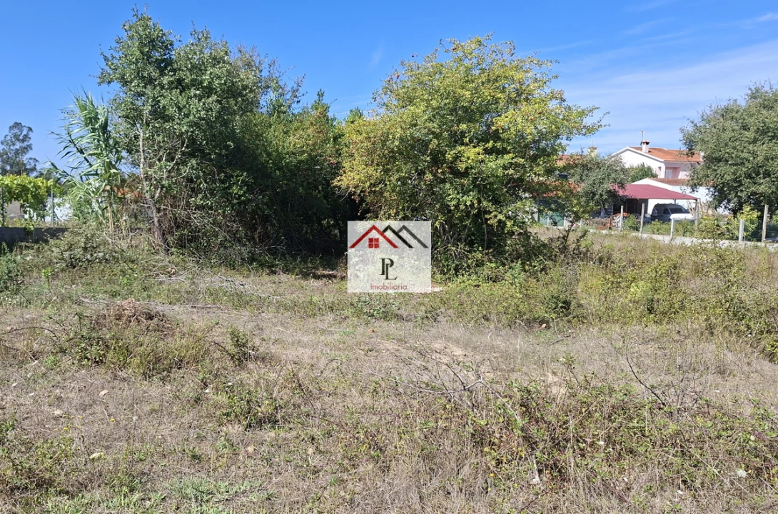 Terreno para Venda em São Martinho de Árvore e Lamarosa Foto 10