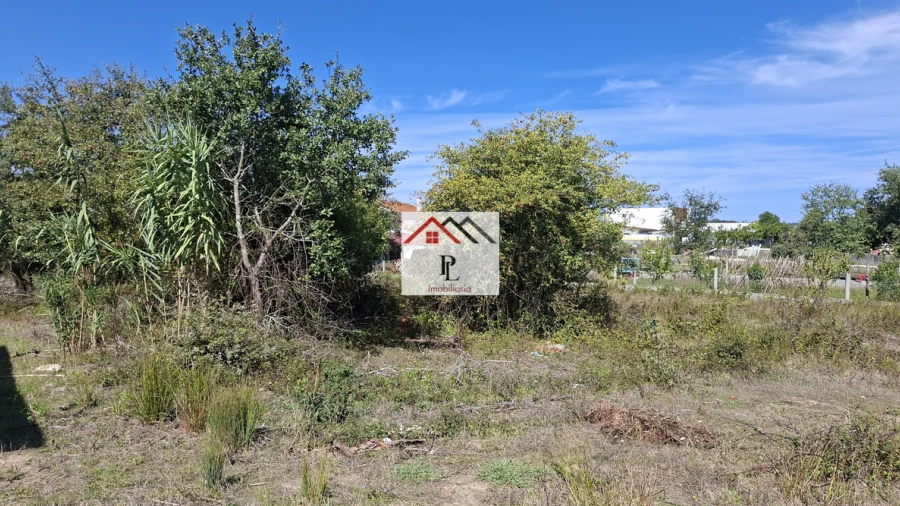 Terreno para Venda em São Martinho de Árvore e Lamarosa