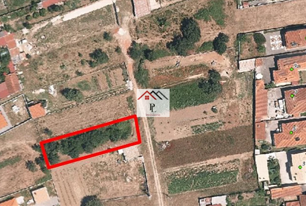 Terreno para Venda em São Martinho de Árvore e Lamarosa Foto 13