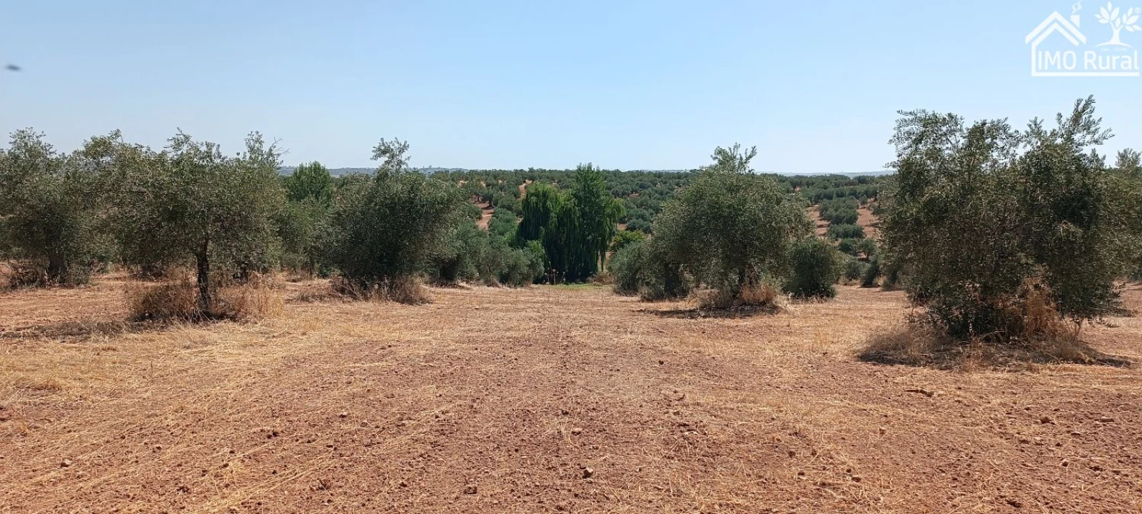 Terreno para Venda em Sobral da Adiça Foto 11