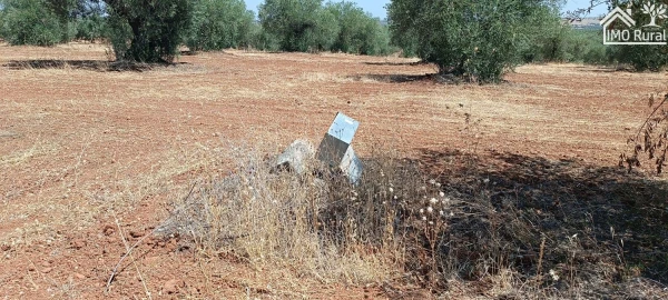 Terreno para Venda em Sobral da Adiça