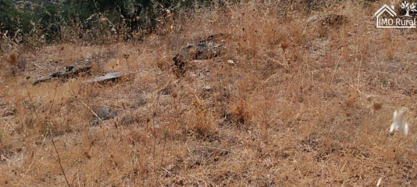 Terreno para Venda em Sobral da Adiça