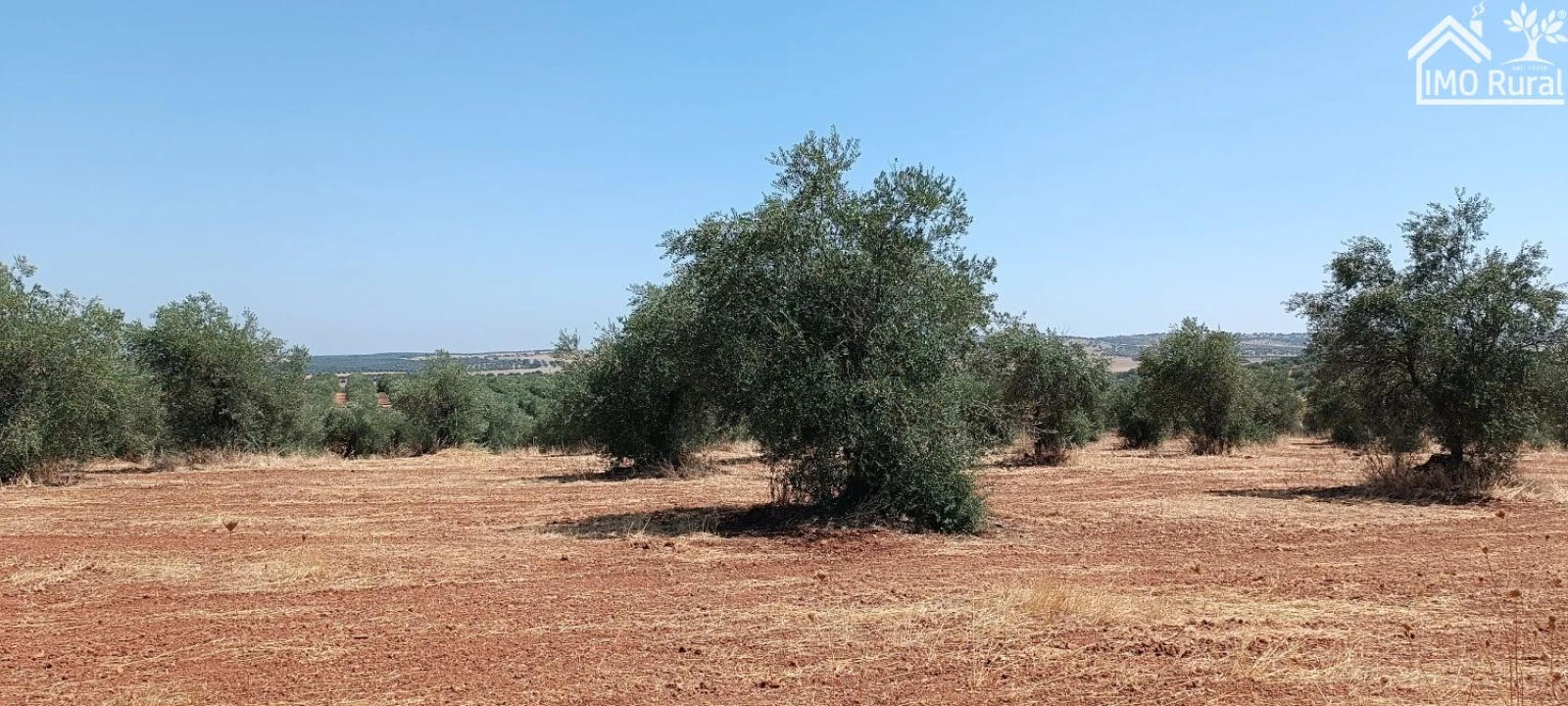 Terreno para Venda em Sobral da Adiça Foto 4