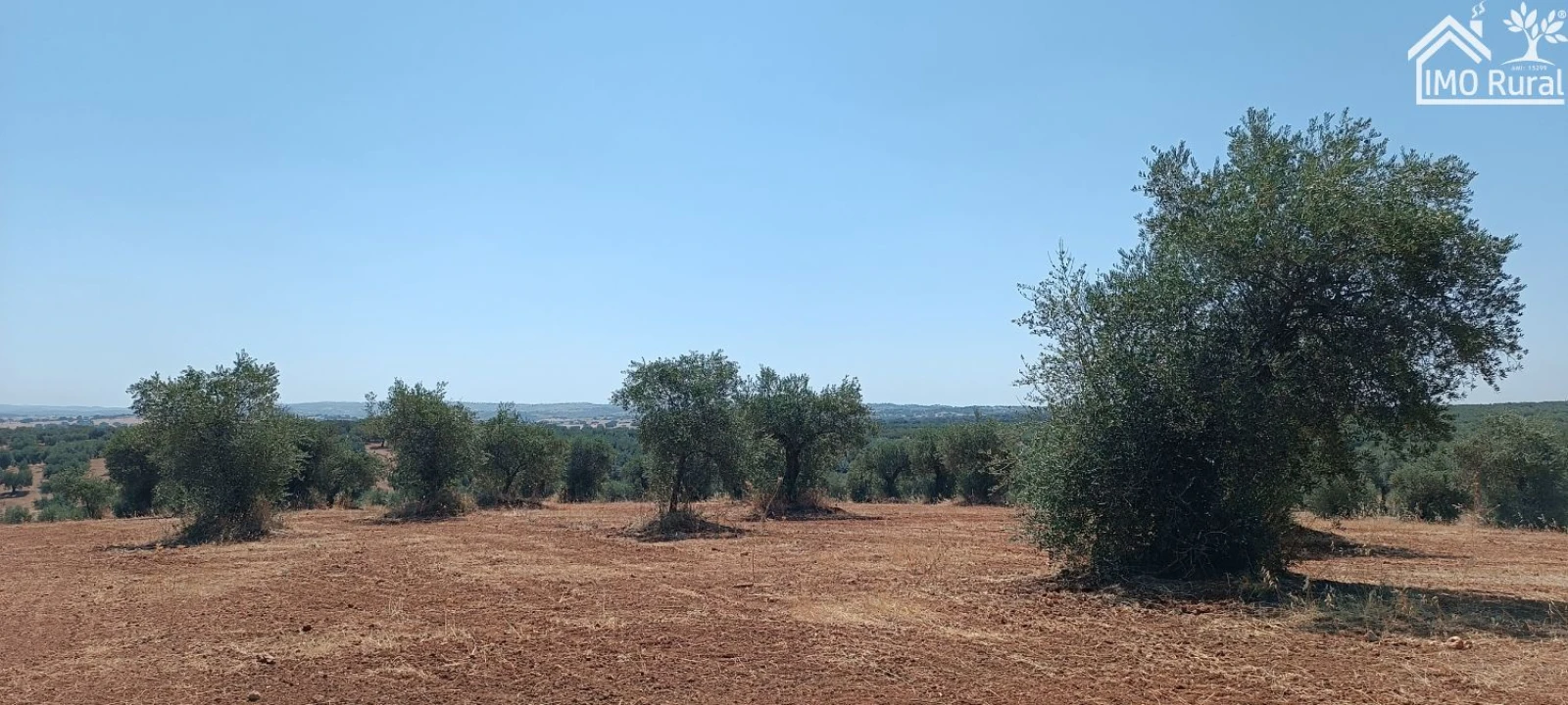 Terreno para Venda em Sobral da Adiça Foto 3