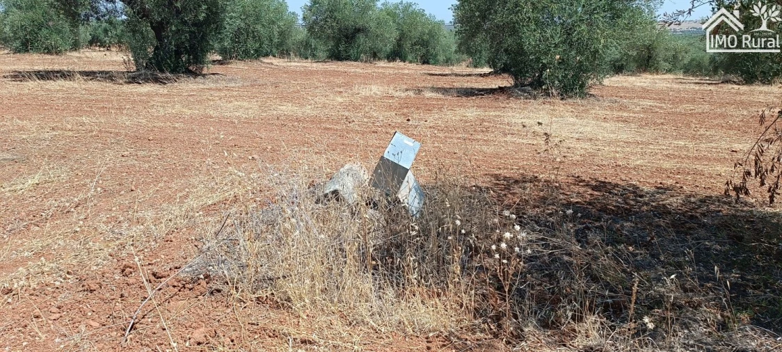 Terreno para Venda em Sobral da Adiça Foto 6