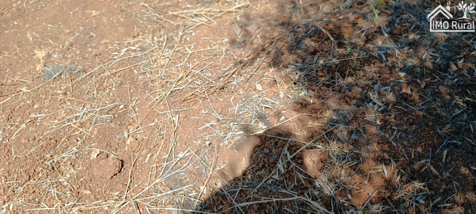Terreno para Venda em Sobral da Adiça Foto 8