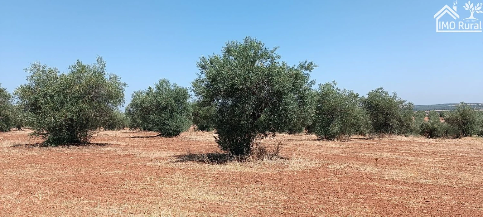 Terreno para Venda em Sobral da Adiça Foto 5