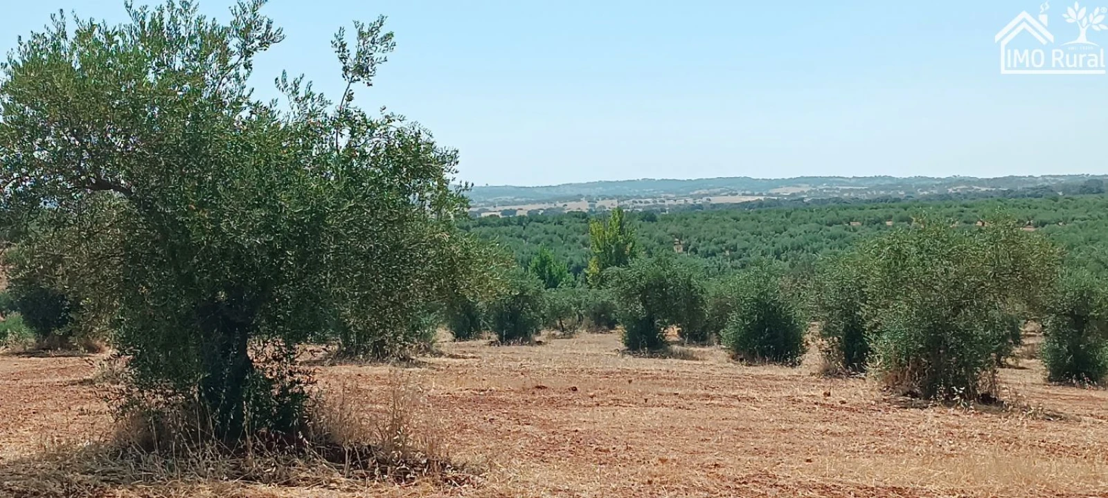 Terreno para Venda em Sobral da Adiça Foto 10