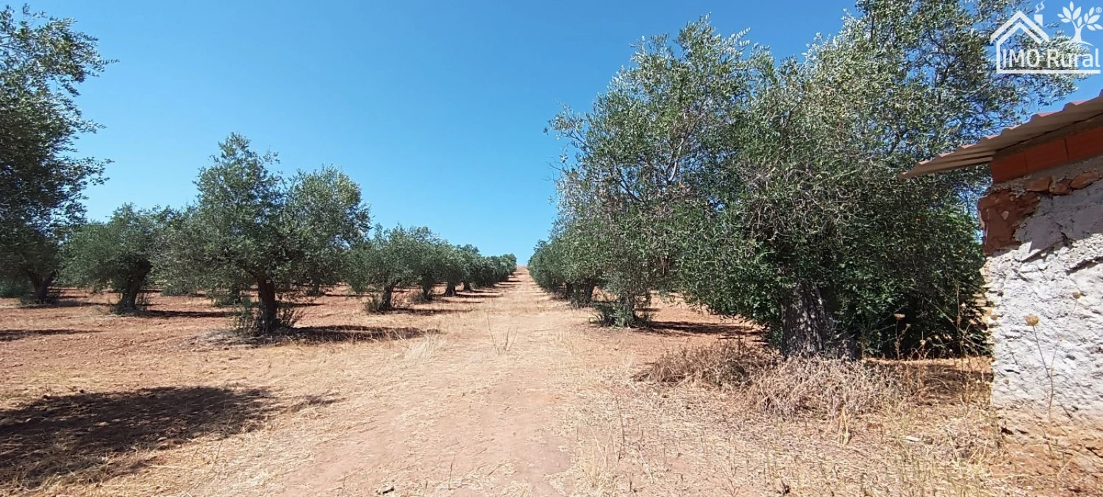 Terreno para Venda em Sobral da Adiça Foto 6