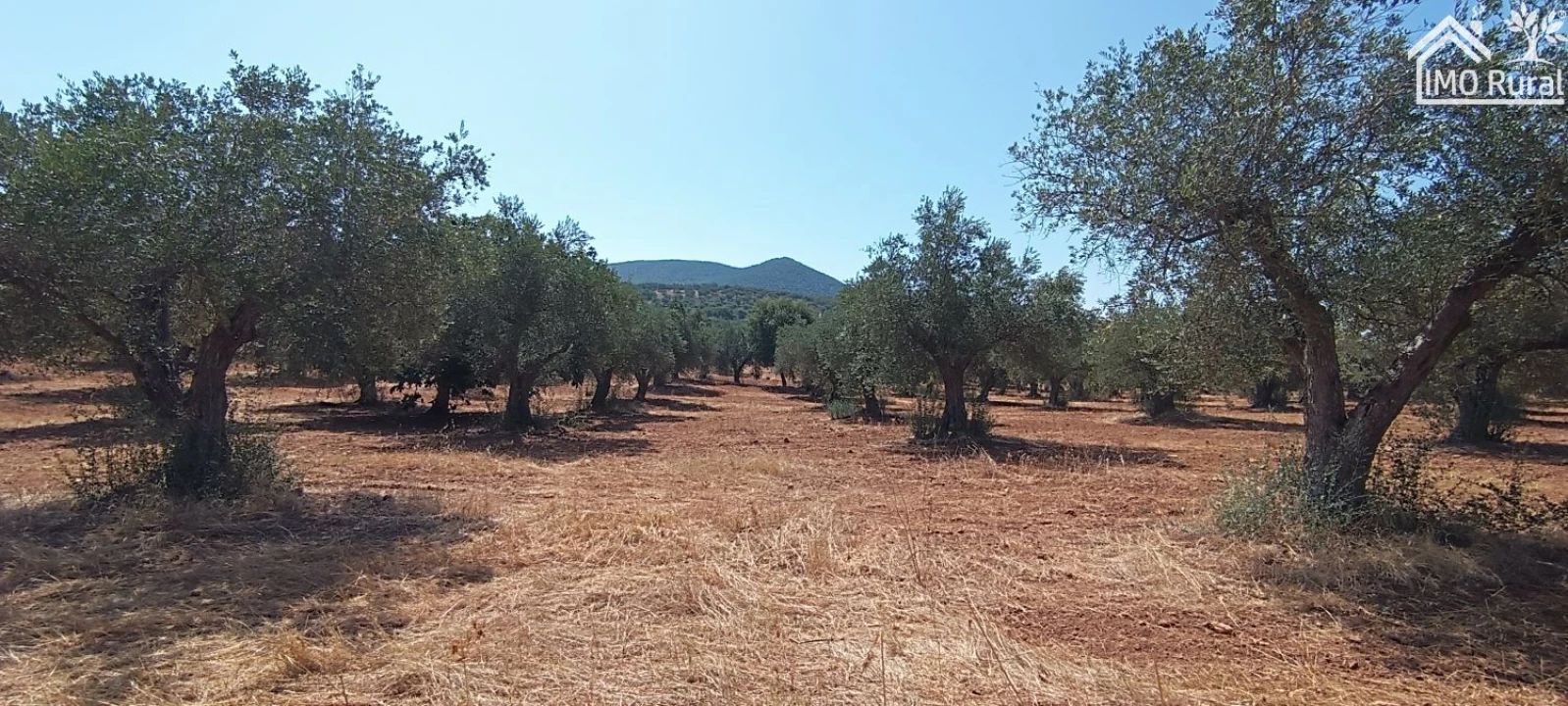 Terreno para Venda em Sobral da Adiça Foto 3