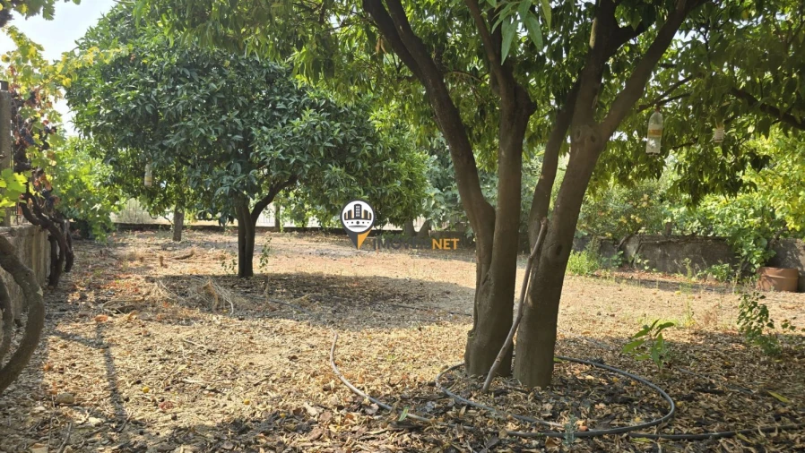 Moradia T6 para Venda em Castelo Branco Foto 6