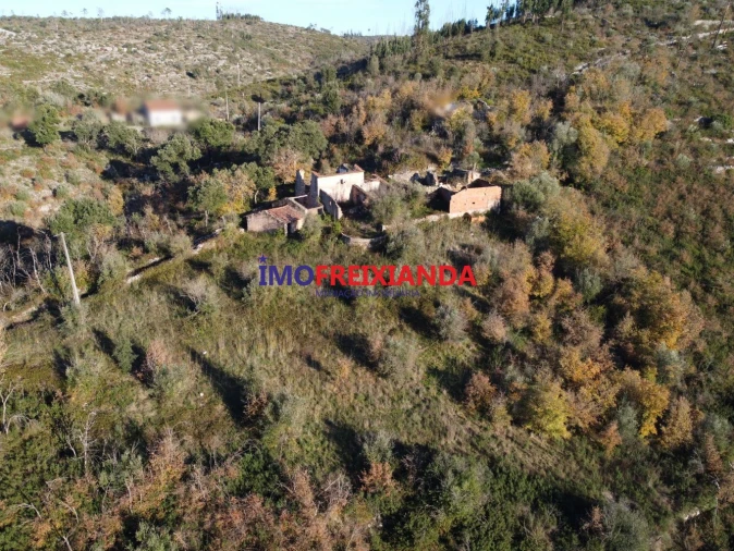 Moradia T1 para Venda em Chãos Foto 2