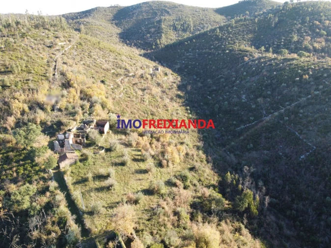 Moradia T1 para Venda em Chãos Foto 3