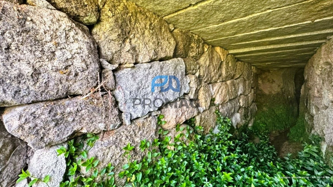 Terreno para Venda em Santa Marinha do Zezere Foto 21