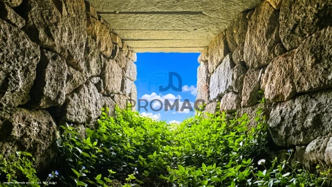 Terreno para Venda em Santa Marinha do Zezere