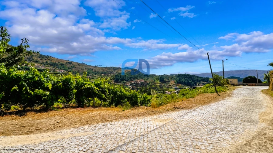Terreno para Venda em Santa Marinha do Zezere Foto 7