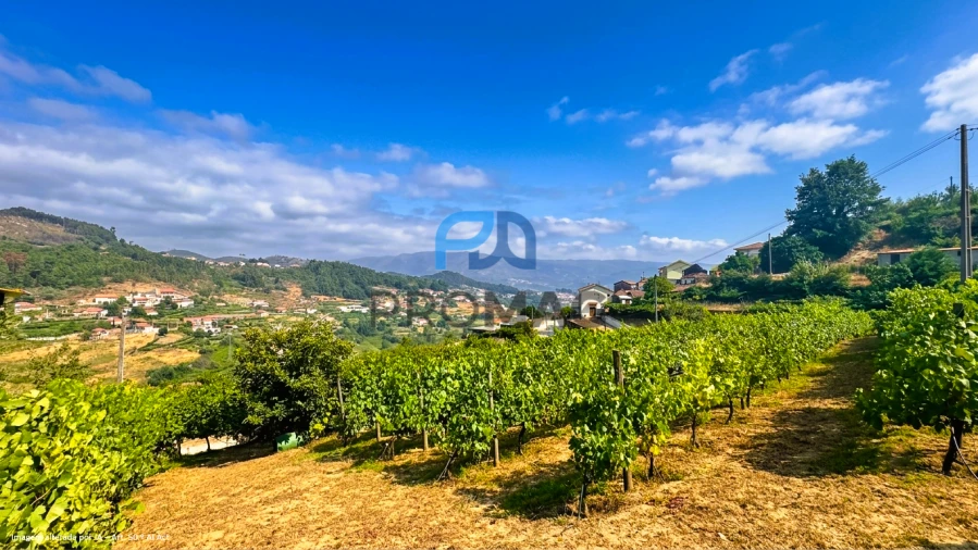 Terreno para Venda em Santa Marinha do Zezere Foto 17