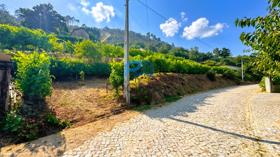 Terreno para Venda em Santa Marinha do Zezere Foto 5
