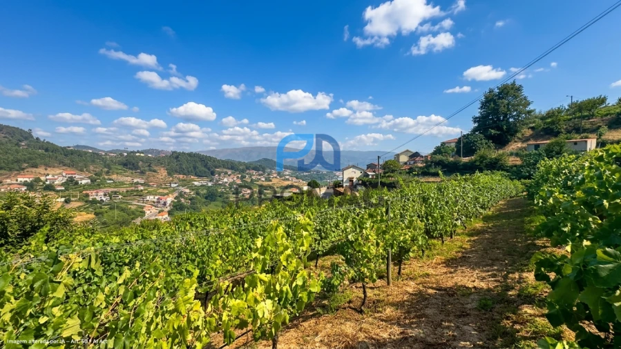 Terreno para Venda em Santa Marinha do Zezere Foto 18