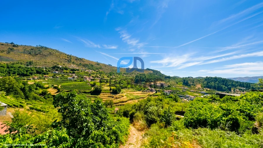 Terreno para Venda em Santa Marinha do Zezere Foto 9