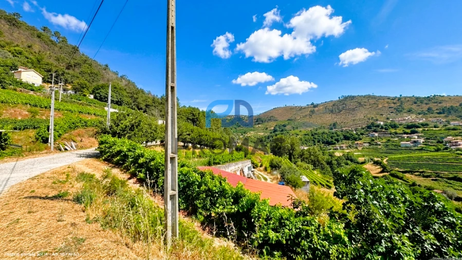 Terreno para Venda em Santa Marinha do Zezere Foto 8