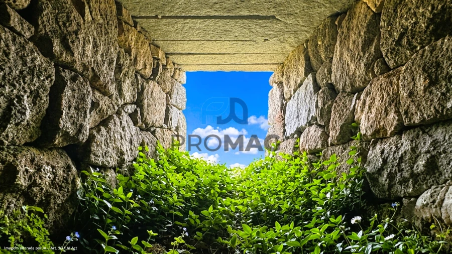 Terreno para Venda em Santa Marinha do Zezere Foto 22