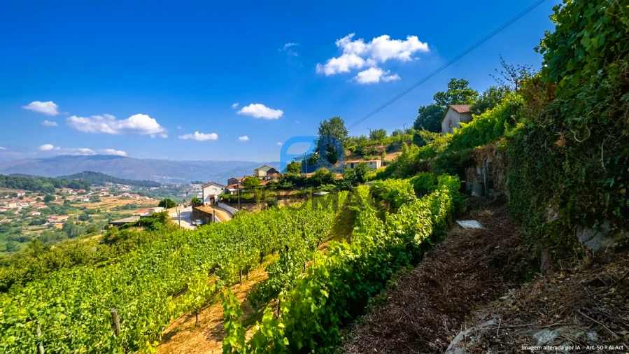 Terreno para Venda em Santa Marinha do Zezere Foto 24