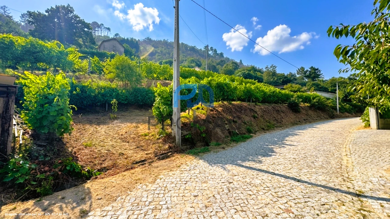 Terreno para Venda em Santa Marinha do Zezere Foto 5
