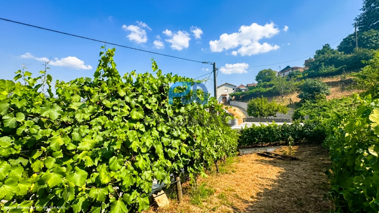 Terreno para Venda em Santa Marinha do Zezere Foto 10