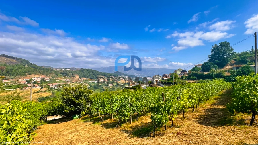 Terreno para Venda em Santa Marinha do Zezere