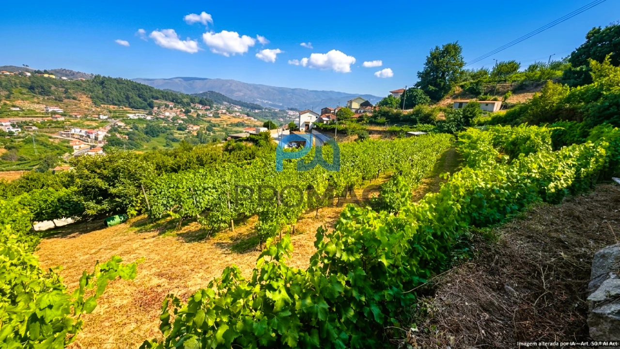 Terreno para Venda em Santa Marinha do Zezere Foto 25